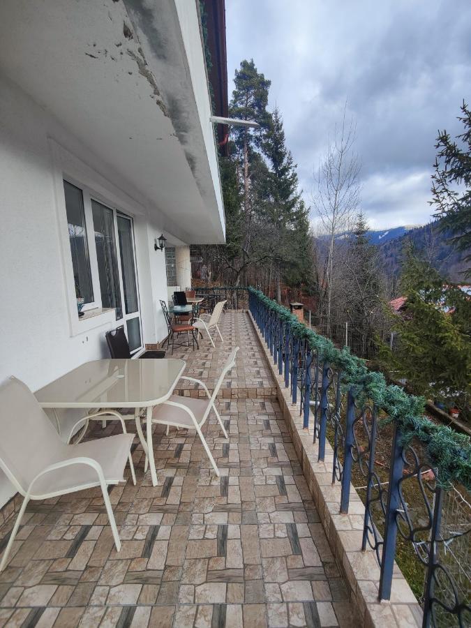Casa Ana Villa Sinaia Buitenkant foto